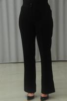 Model: PAL6 29652